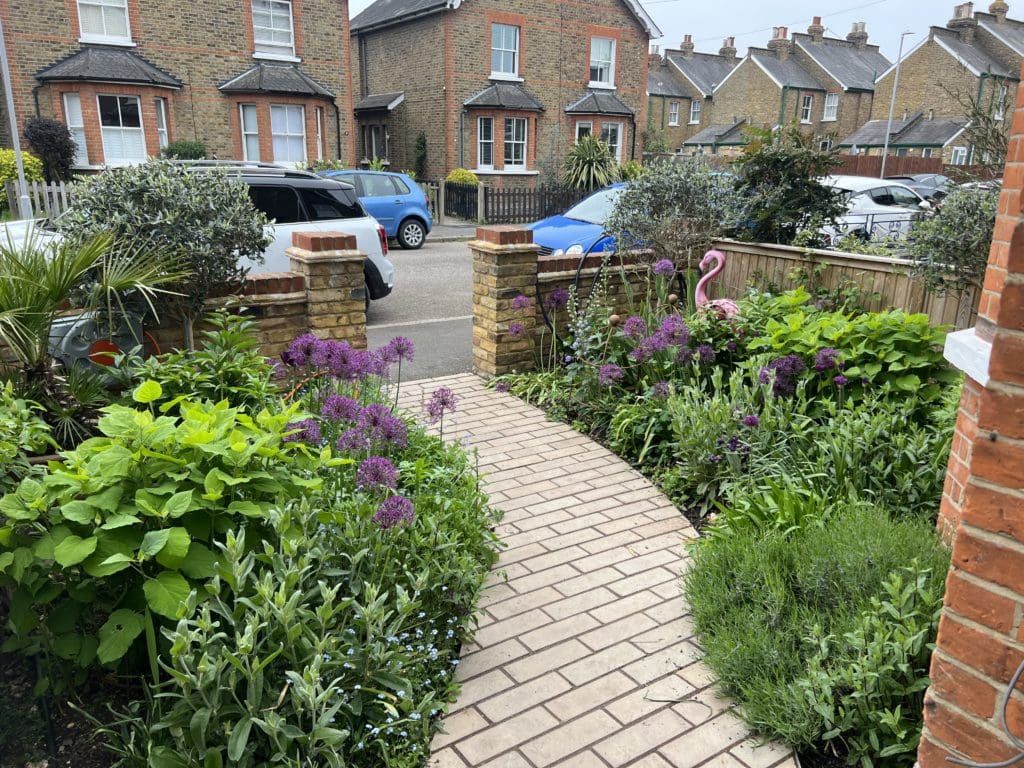 Victorian front garden with blooming flowers and structured planting