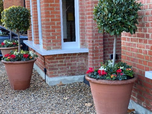 New garden planting in a Twickenham garden, by Flourish Landscaping