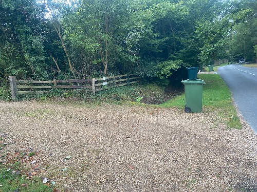 Newly cleared site after Leylandii removal at a Cobham property