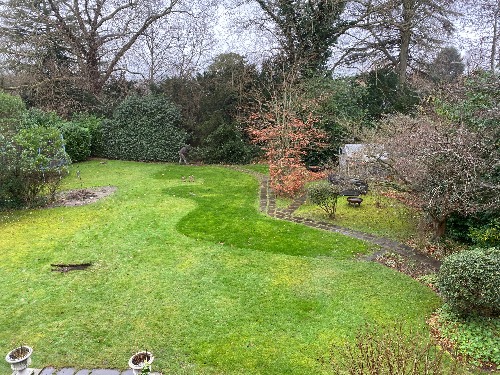 Completed Esher garden showing porcelain patio, planting and boundary wall