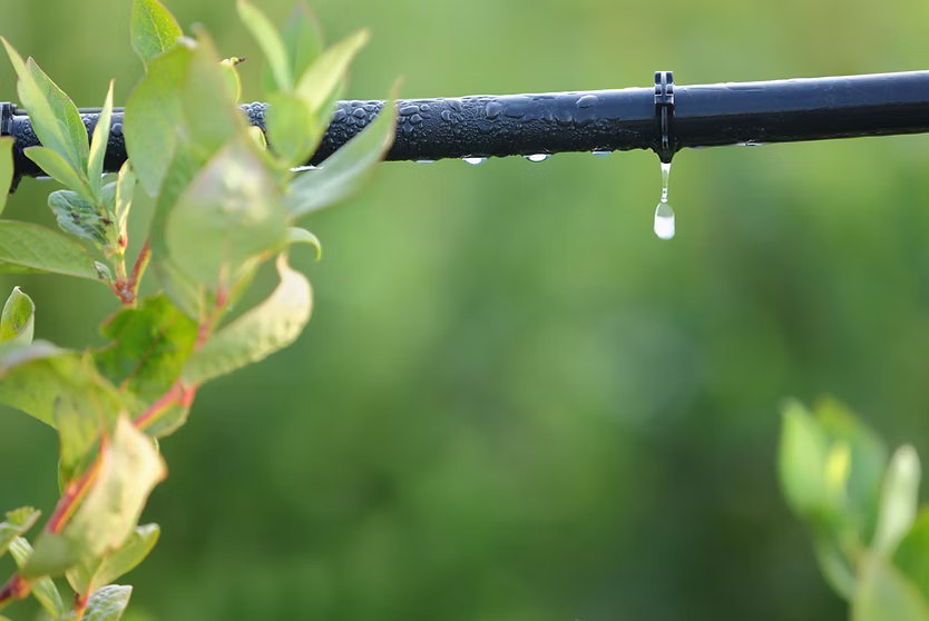 Garden irrigation