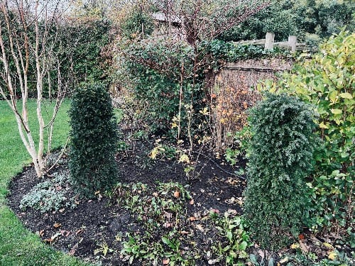 Rear garden with paving and planting in Twickenham, by Flourish Landscaping