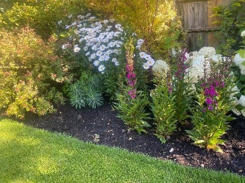 Spring planting