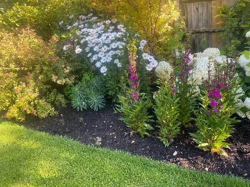 Spring planting