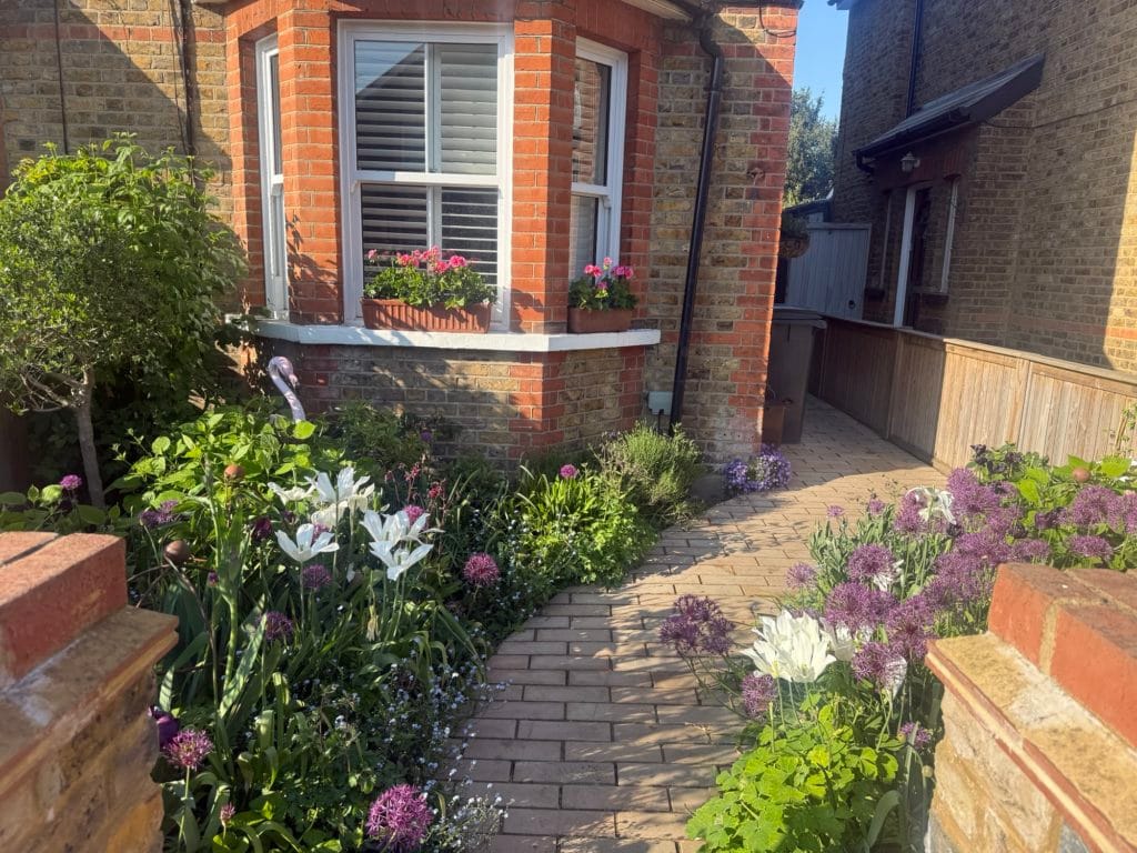 Brick bay-fronted Kingston house with a climbing rose and front garden, by Flourish Landscaping