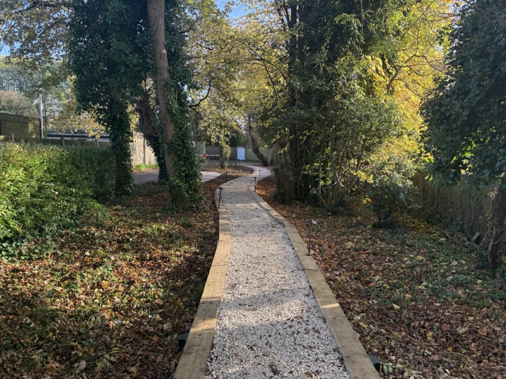 Woodland garden gravel path among mature trees in Kingston, by Flourish Landscaping