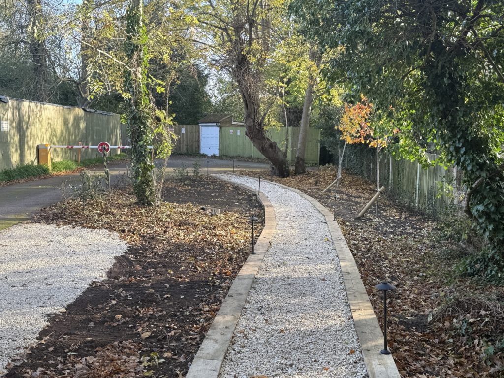 Kingston woodland gravel pathway through mature planting, by Flourish Landscaping