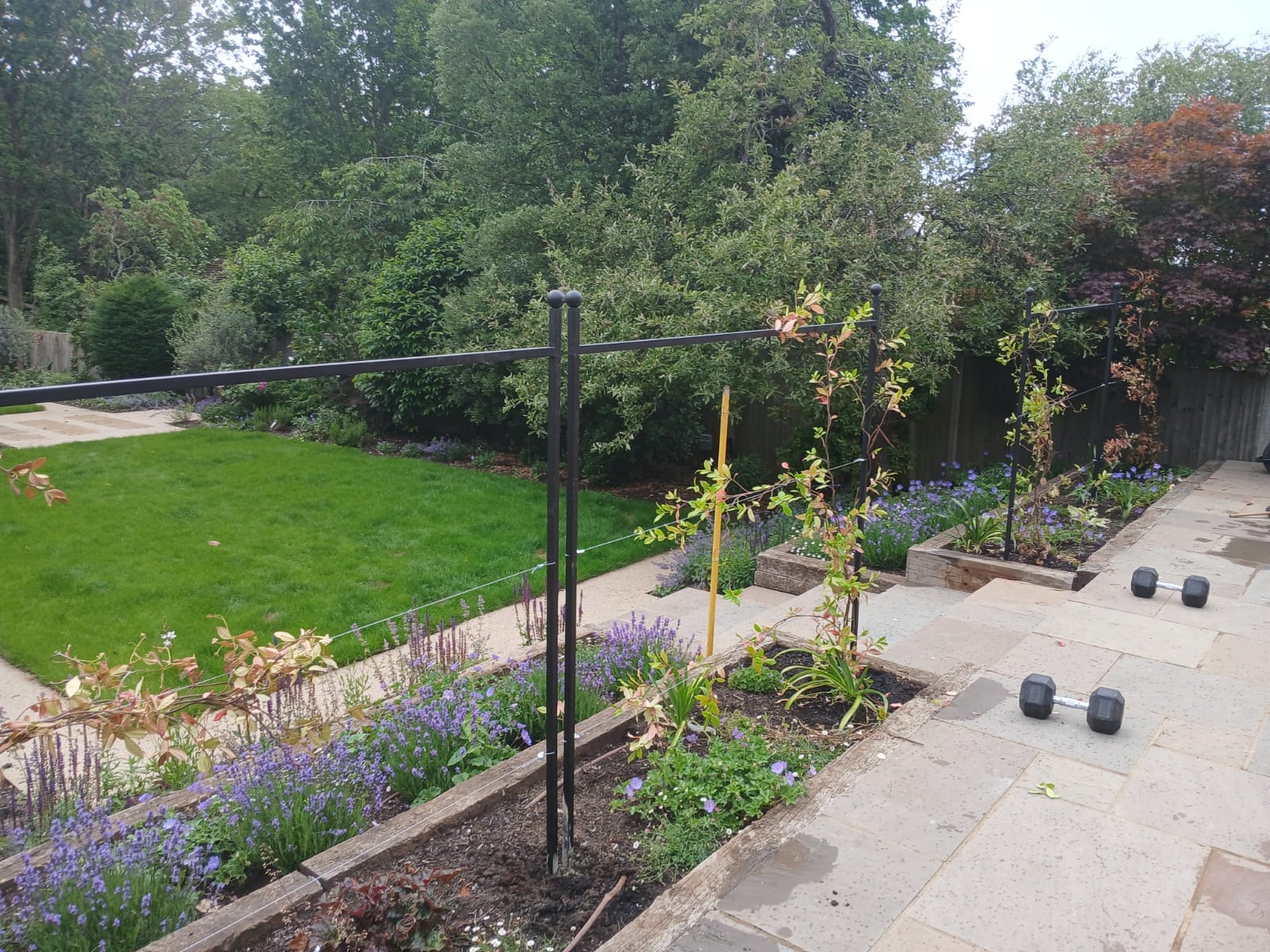 Large garden with mixed herbaceous borders, Surrey, by Flourish Landscaping