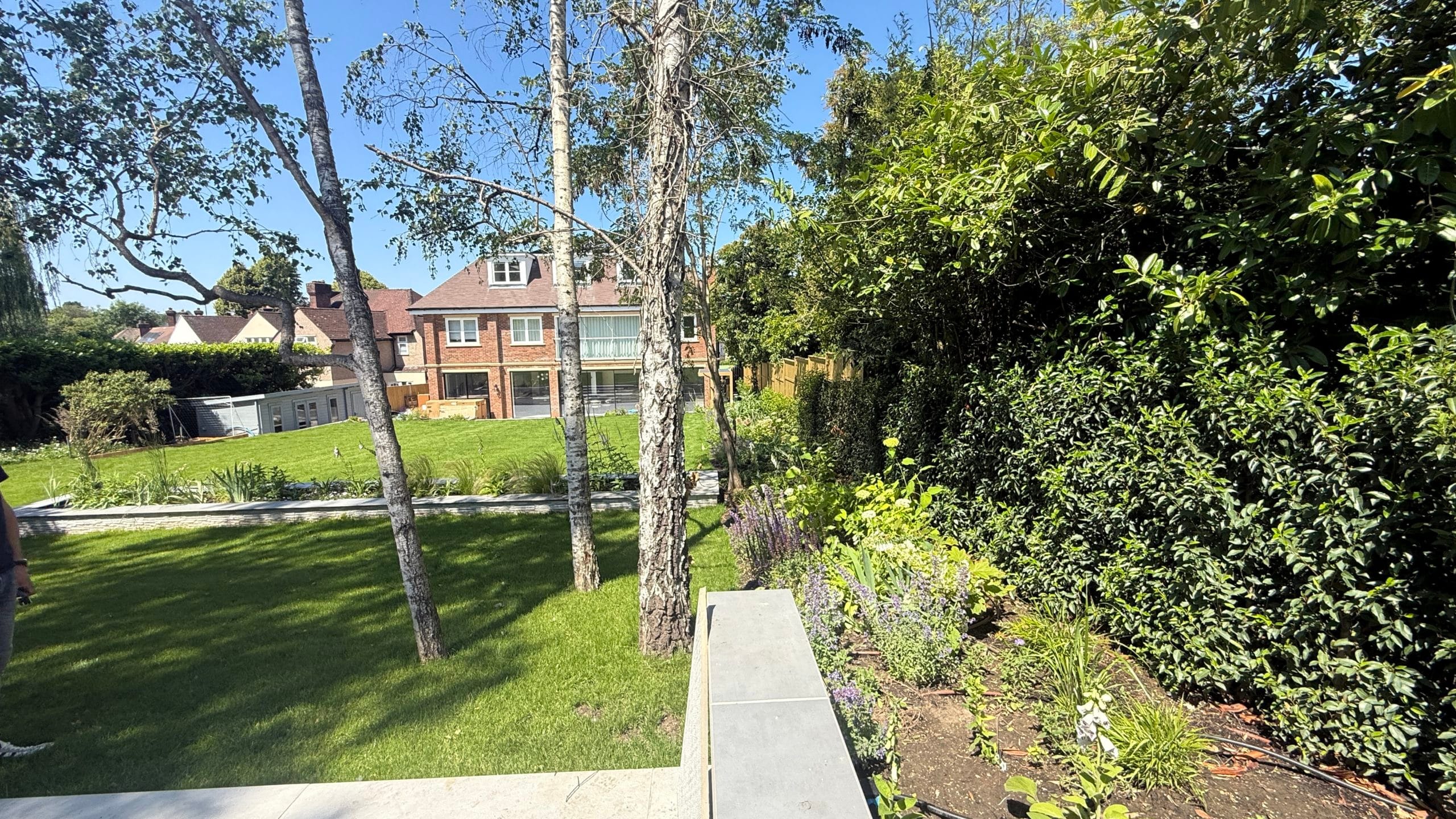 Established garden with a sweeping new lawn and mature trees, by Flourish Landscaping