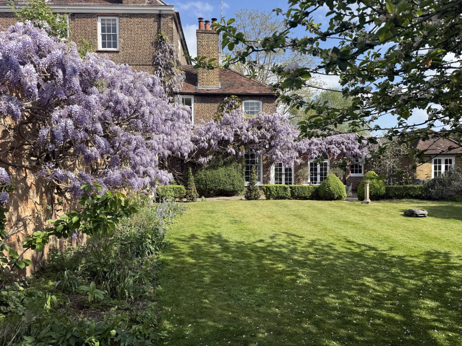 Period house with Wisteria in full bloom and a manicured lawn — Flourish Landscaping, Surrey