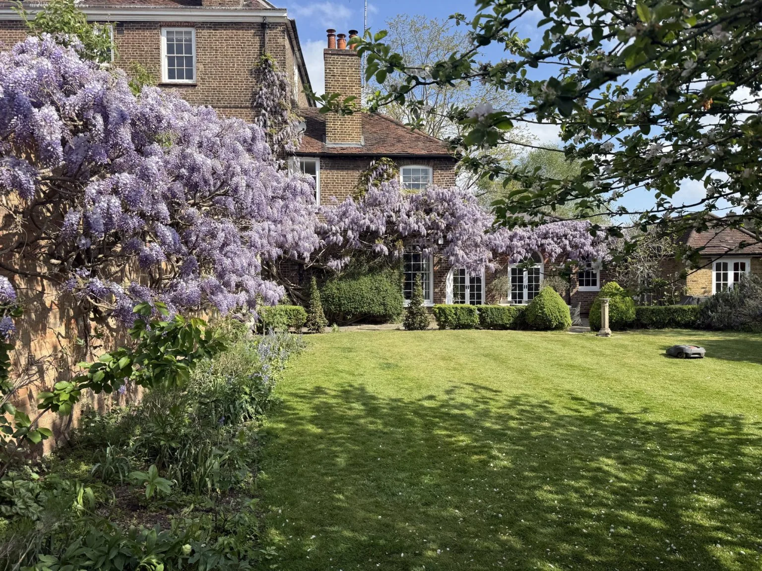 Period house with Wisteria in full bloom and a manicured lawn — Flourish Landscaping, Surrey