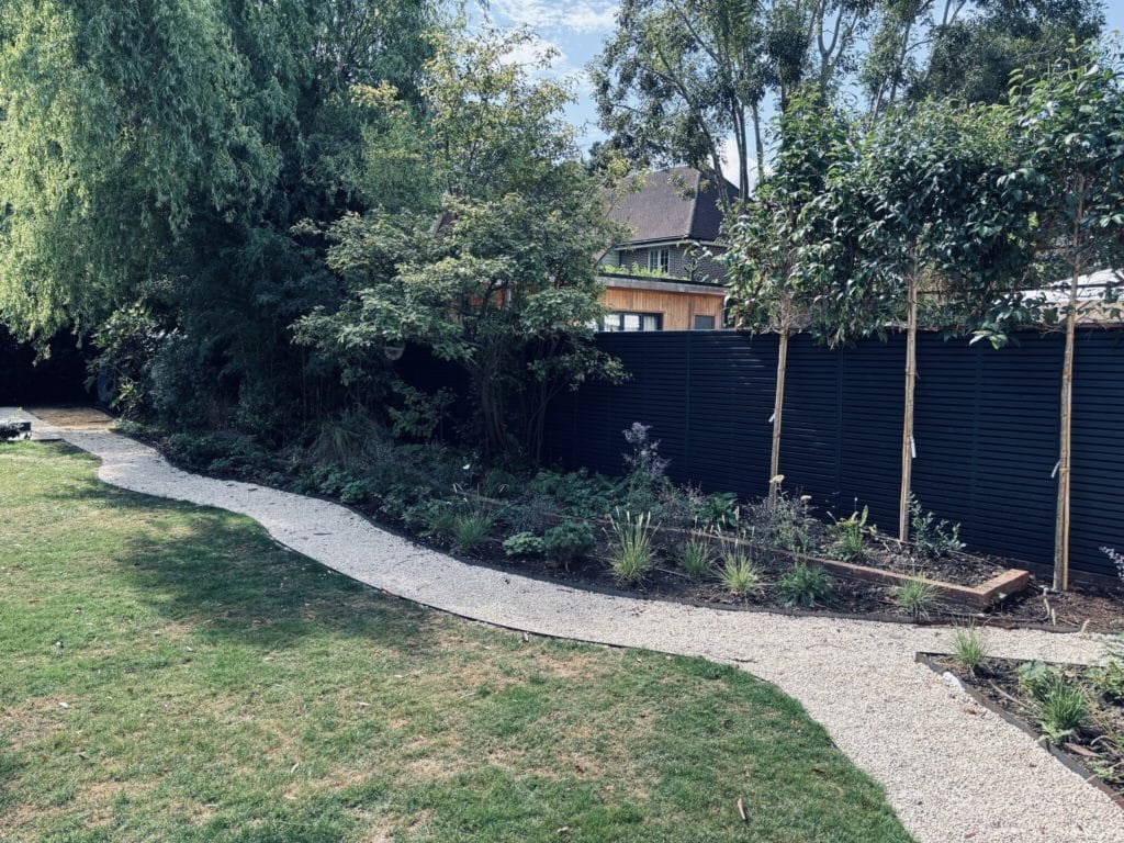 Curved gravel path with metal edging beside a lawn, new standard trees and a black slatted screen in a Claygate garden, by Flourish Landscaping