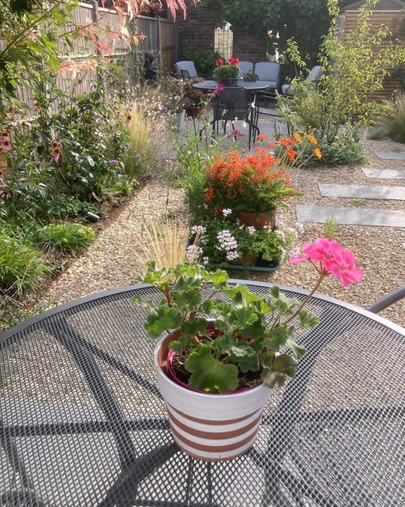 Gravel garden in Kingston with limestone stepping slabs, Stipa tenuissima and Echinacea, by Flourish Landscaping