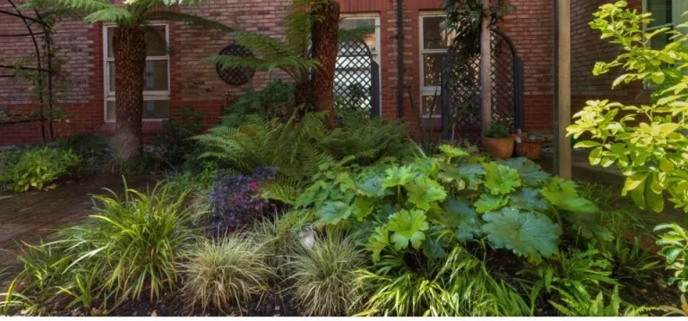 Shady brick courtyard garden planted by Flourish Landscaping with tree ferns, lime-green and striped sedges and broad-leaved foliage